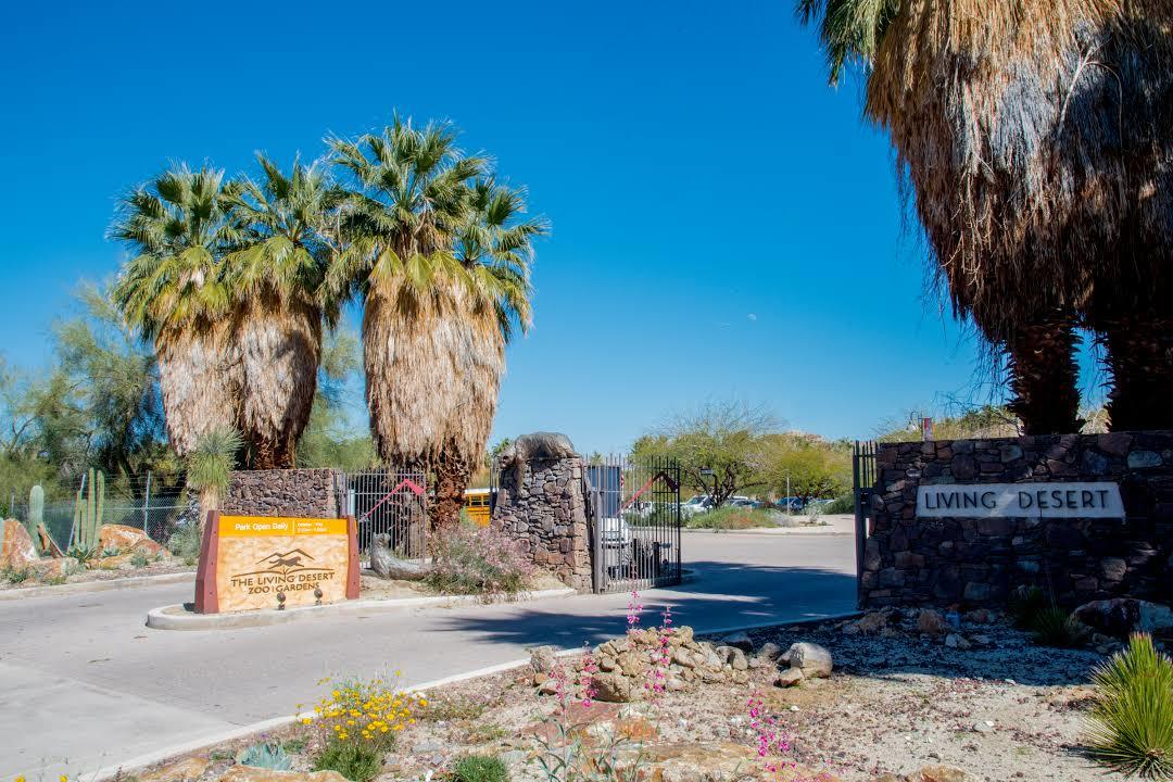 Jardín Botánico y Zoológico Living Desert